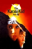 The Karate Kid Part III