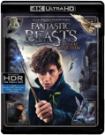 Fantastic Beasts and Where to Find Them (4K Ultra HD + Blu-ray ) [4K UHD]